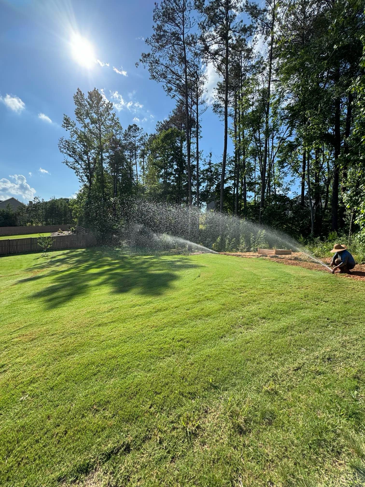 irrigation