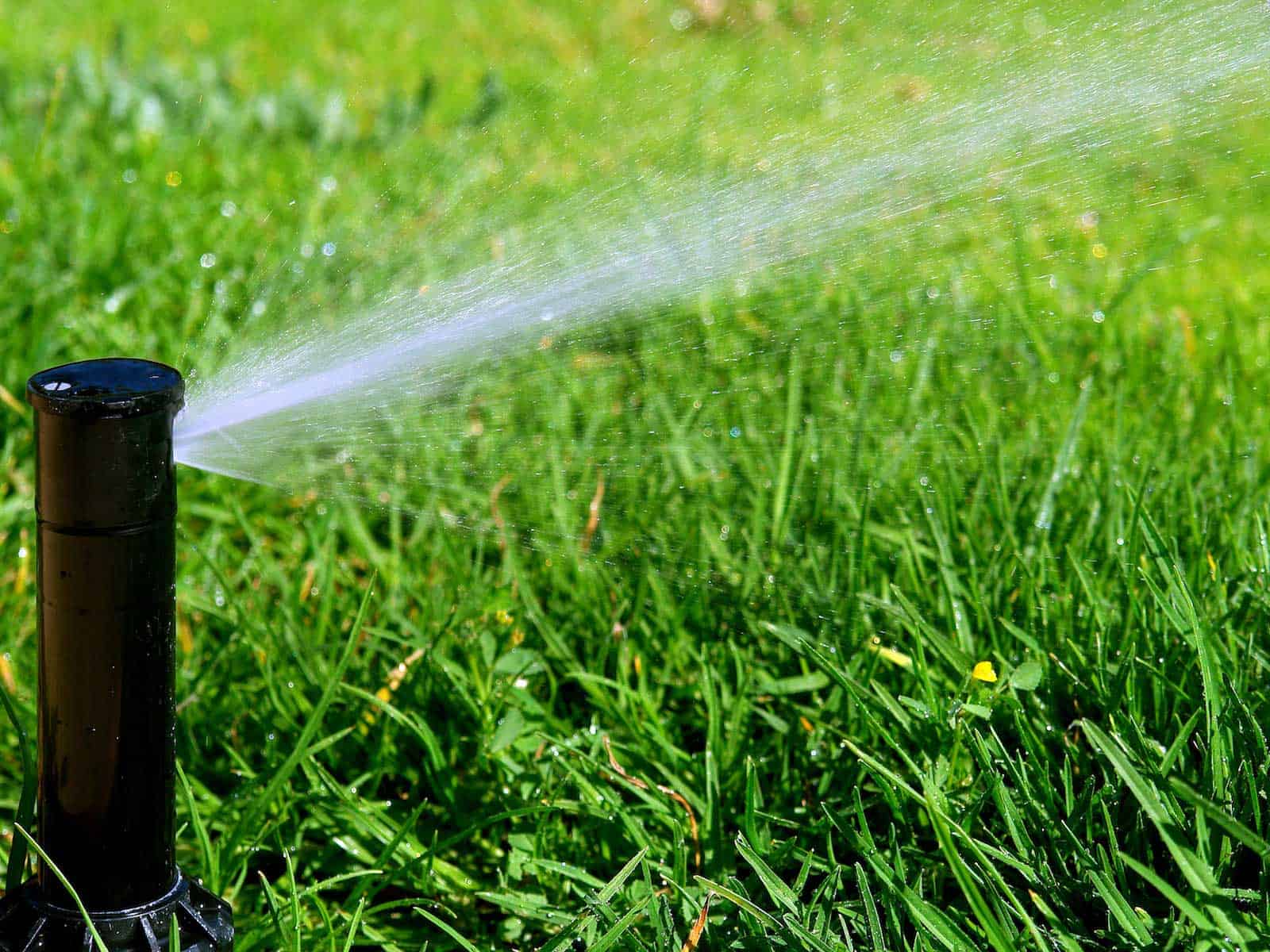 lawn irrigation