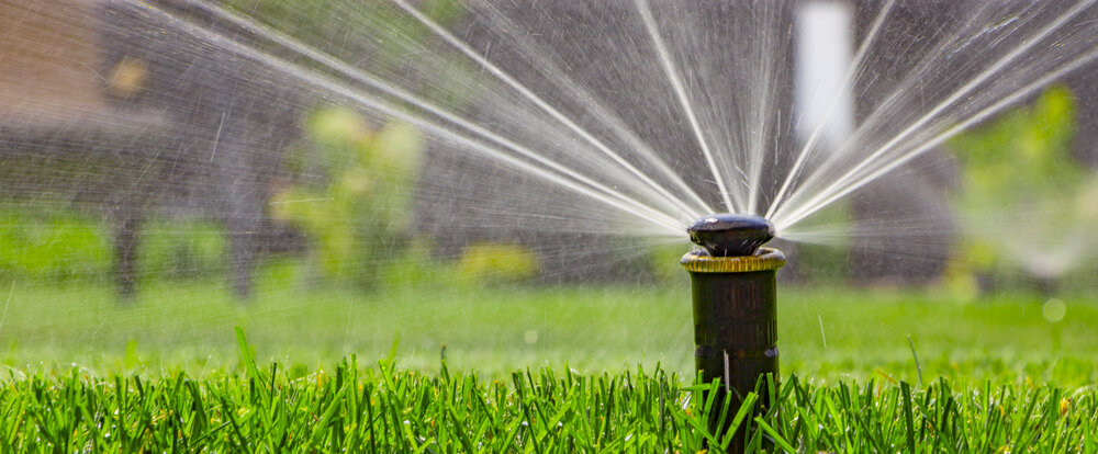 Vergel Irrigation
